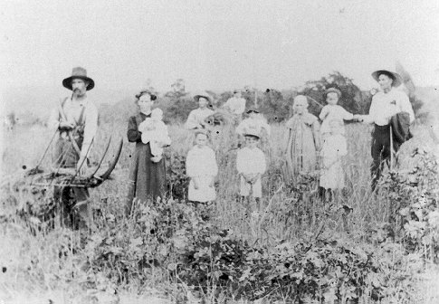 Three Swift Generations