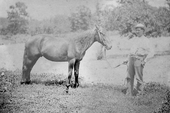 [Christopher Columbus Lowe]