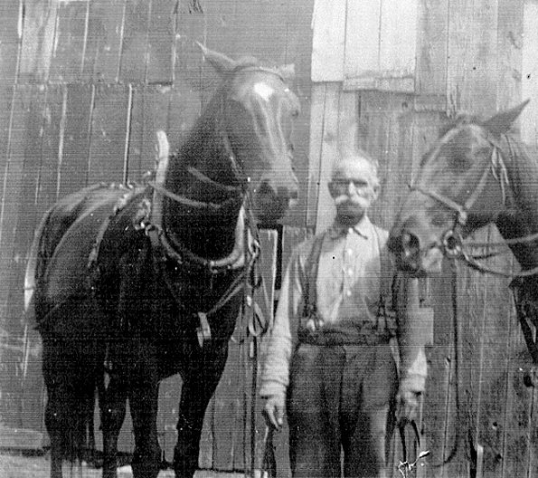 [William Henry McCrary]