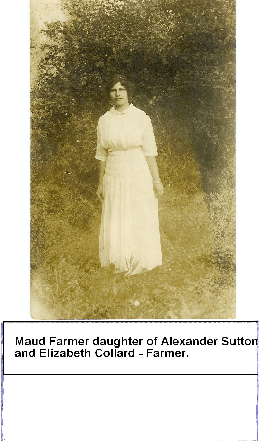 pw-farmer-maud.jpg (258916 bytes)