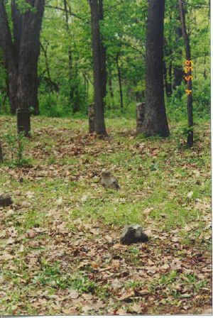 mitchell-stones.jpg (176707 bytes)