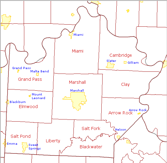 Saline County Townships