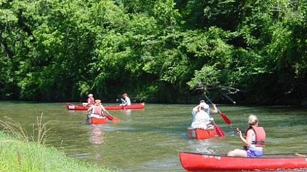 shannon-genealogy-current