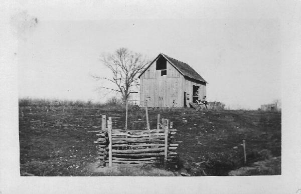 Original image