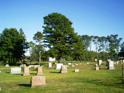 tree_ioof_cemetery_bismarck.jpg (33543 bytes)