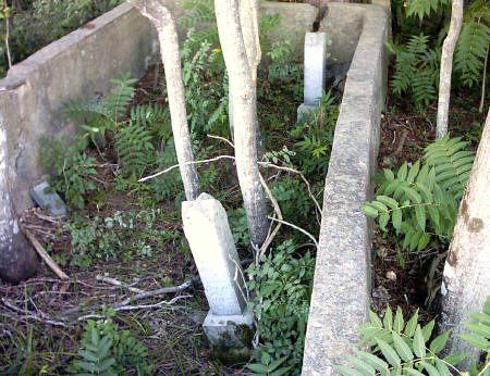 bressie_cem5.JPG (57745 bytes)