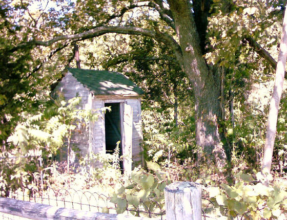 little_vine_outhouse.jpg (105615 bytes)