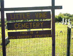 little_vine_sign.jpg (16622 bytes)