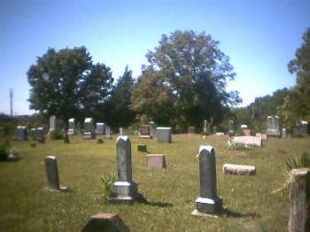 little_vine_view2.jpg (19721 bytes)