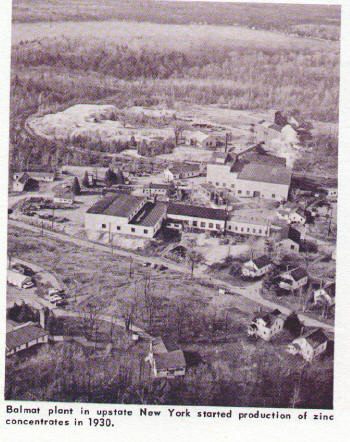 balmat_plant.jpg (48532 bytes)
