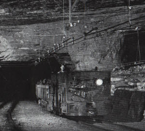 mine_train.jpg (18742 bytes)