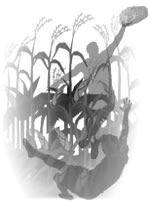 Composite of details from the Meeks Murder information (created, not actual).